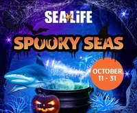 Spooky Seas_300x250.jpg